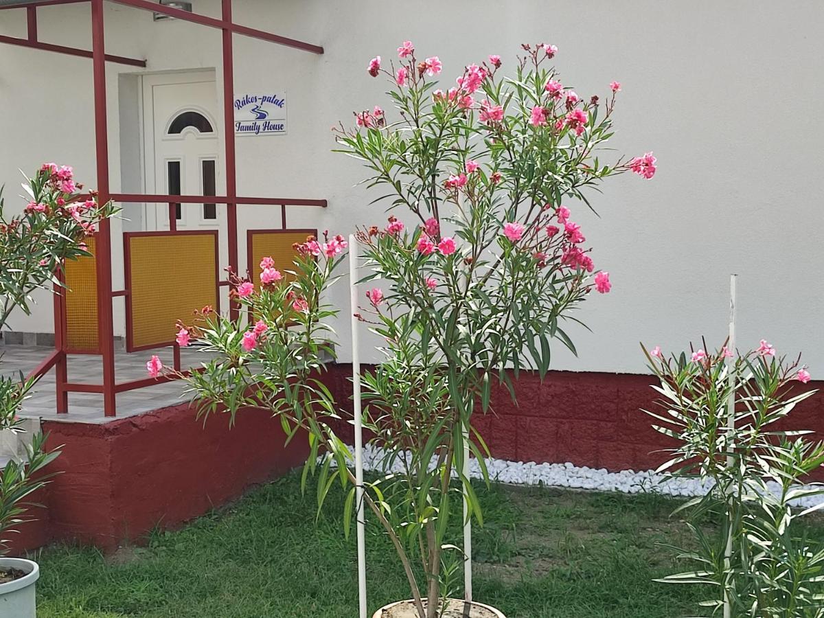 Rakos-Patak Family House Hotel Будапеща Екстериор снимка